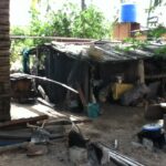 The poorly sheltered food storage area offered little protection from the elements.